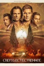 постер постер 15 сезон